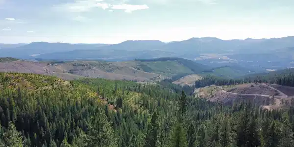 Image 2: dji_fly_20240826_144150_399_172470852962