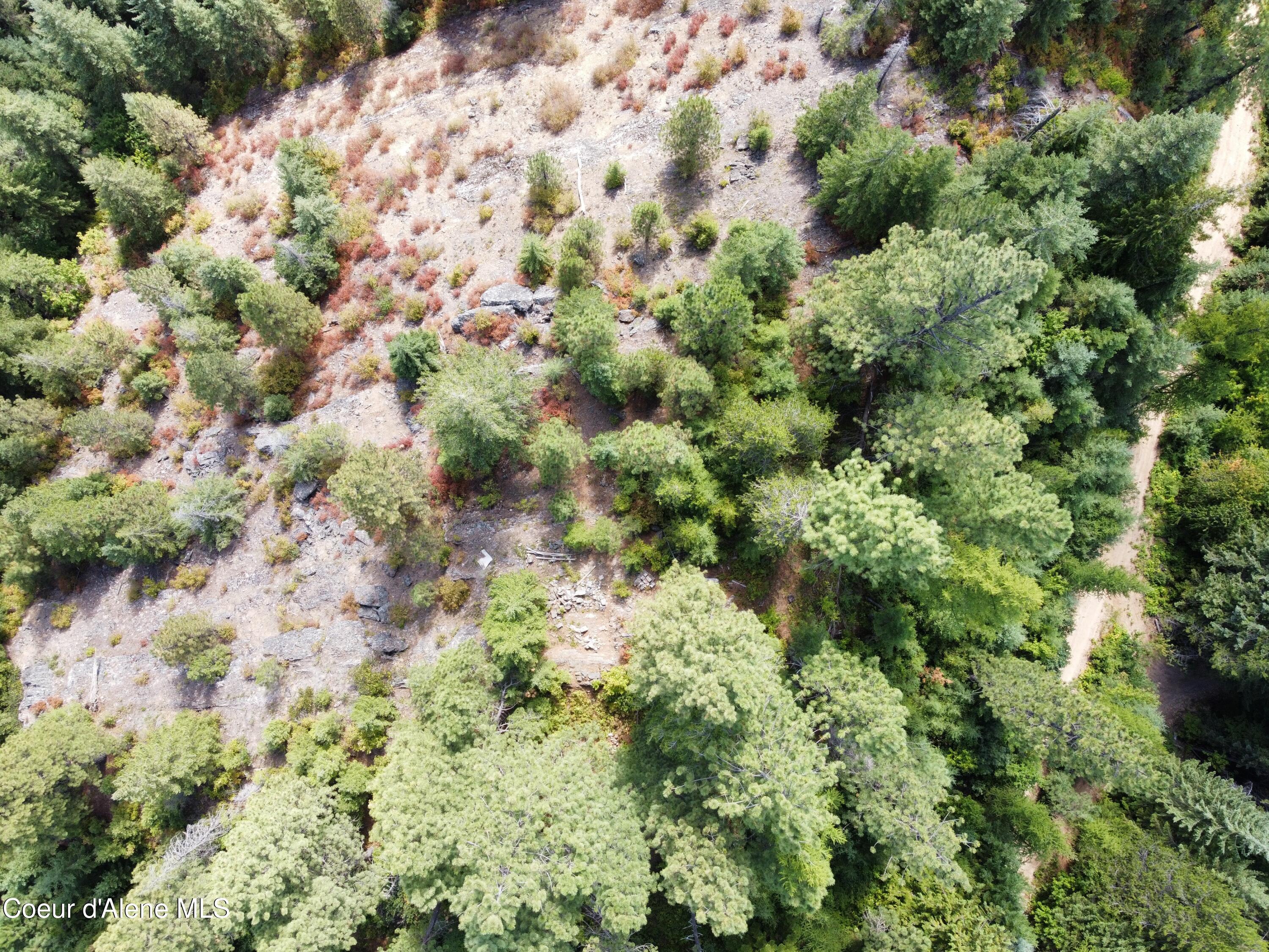 Image 3: dji_fly_20240826_144216_400_172470855176