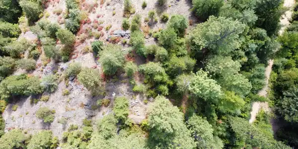 Image 3: dji_fly_20240826_144216_400_172470855176