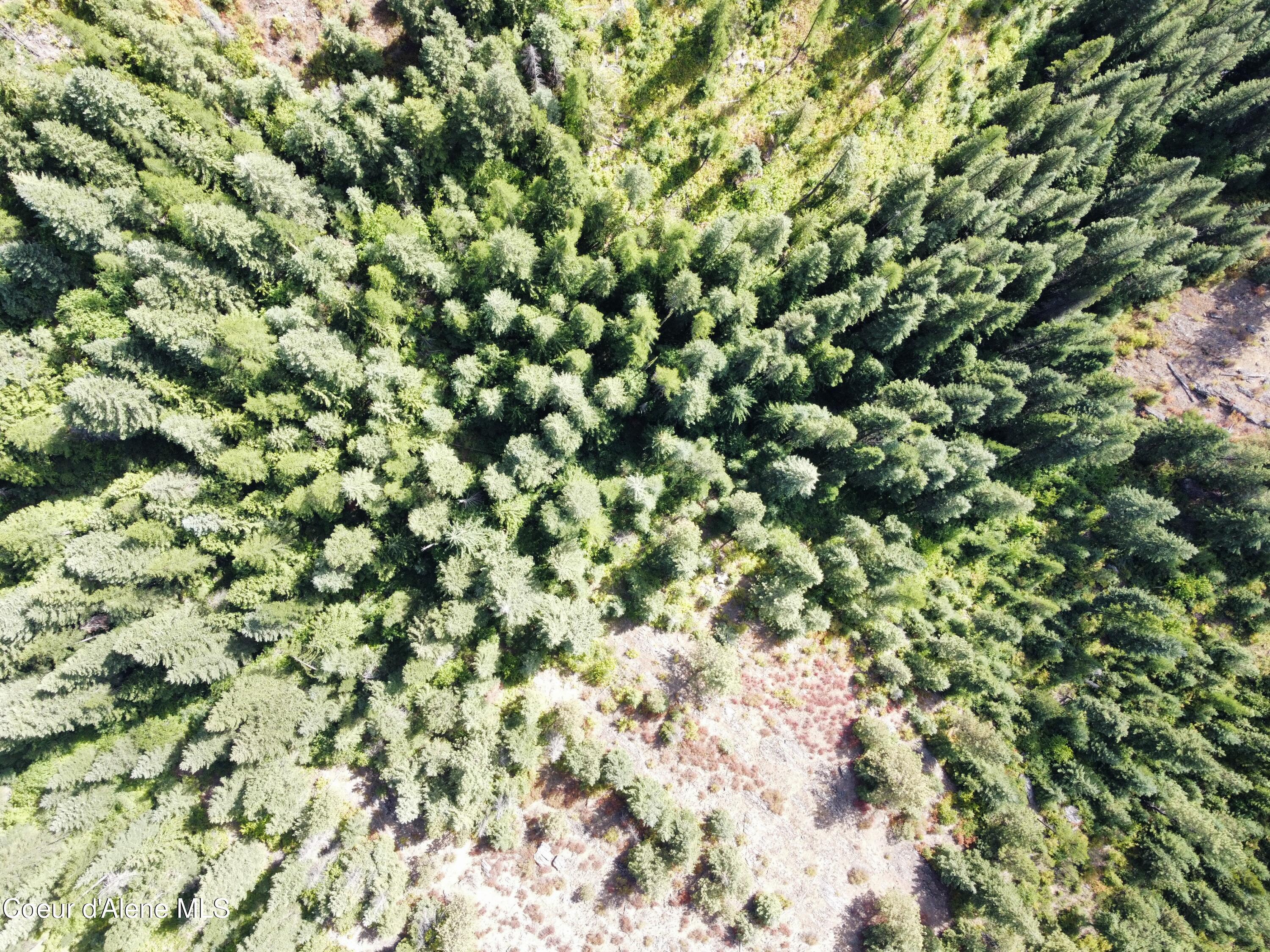 Image 4: dji_fly_20240826_144334_403_172470865499