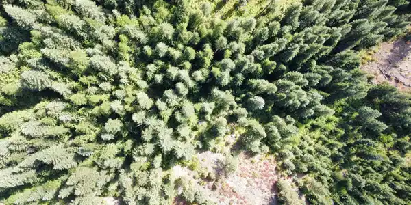 Image 4: dji_fly_20240826_144334_403_172470865499