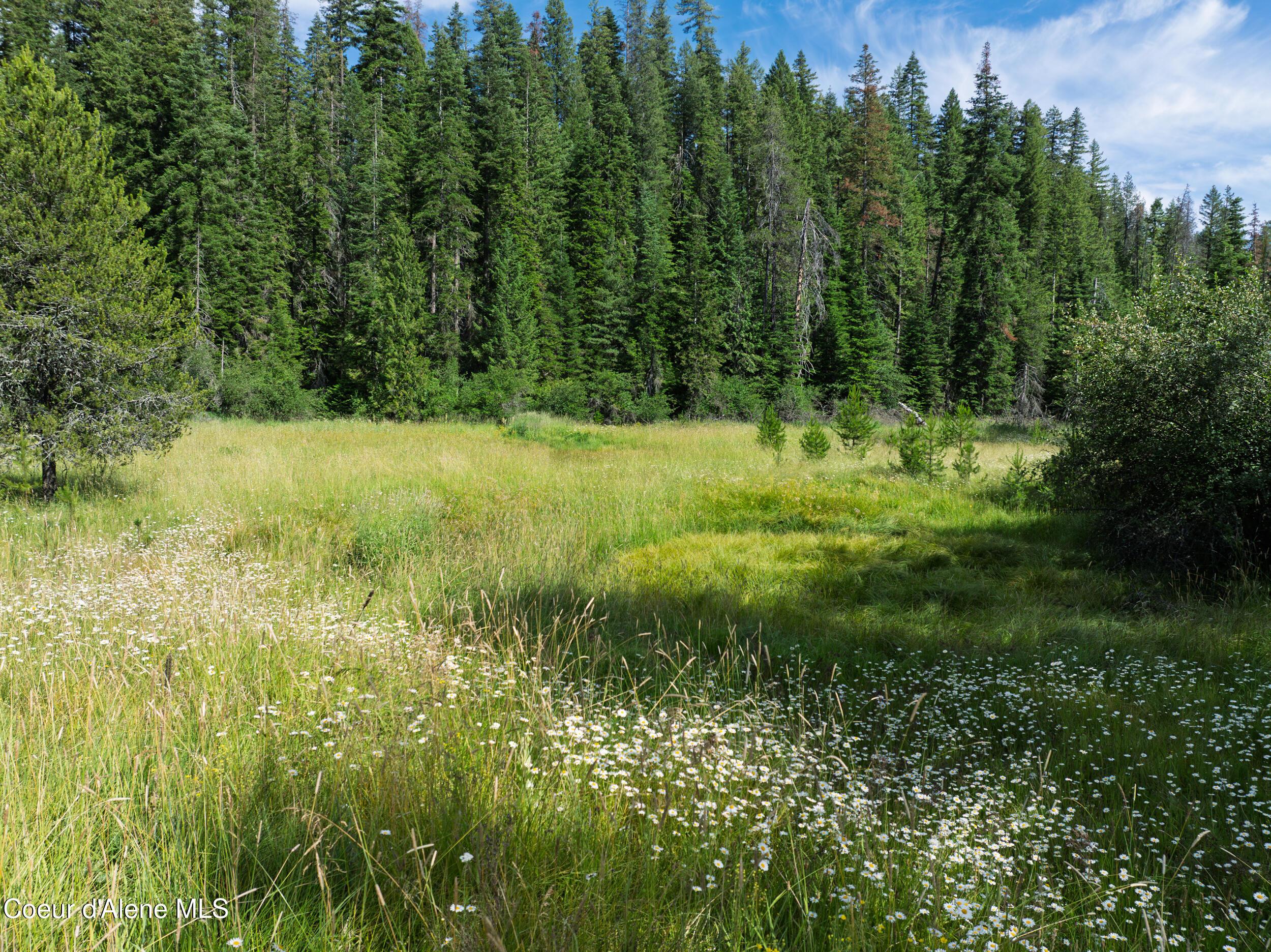 Image 2: Cow Creek Tweedy (12 of 29)