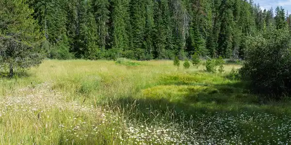 Image 2: Cow Creek Tweedy (12 of 29)