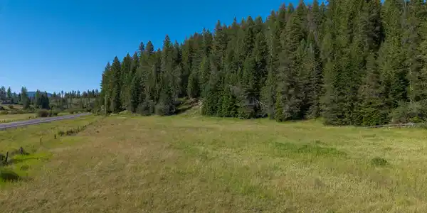 Image 3: Cow Creek Tweedy (27 of 29)
