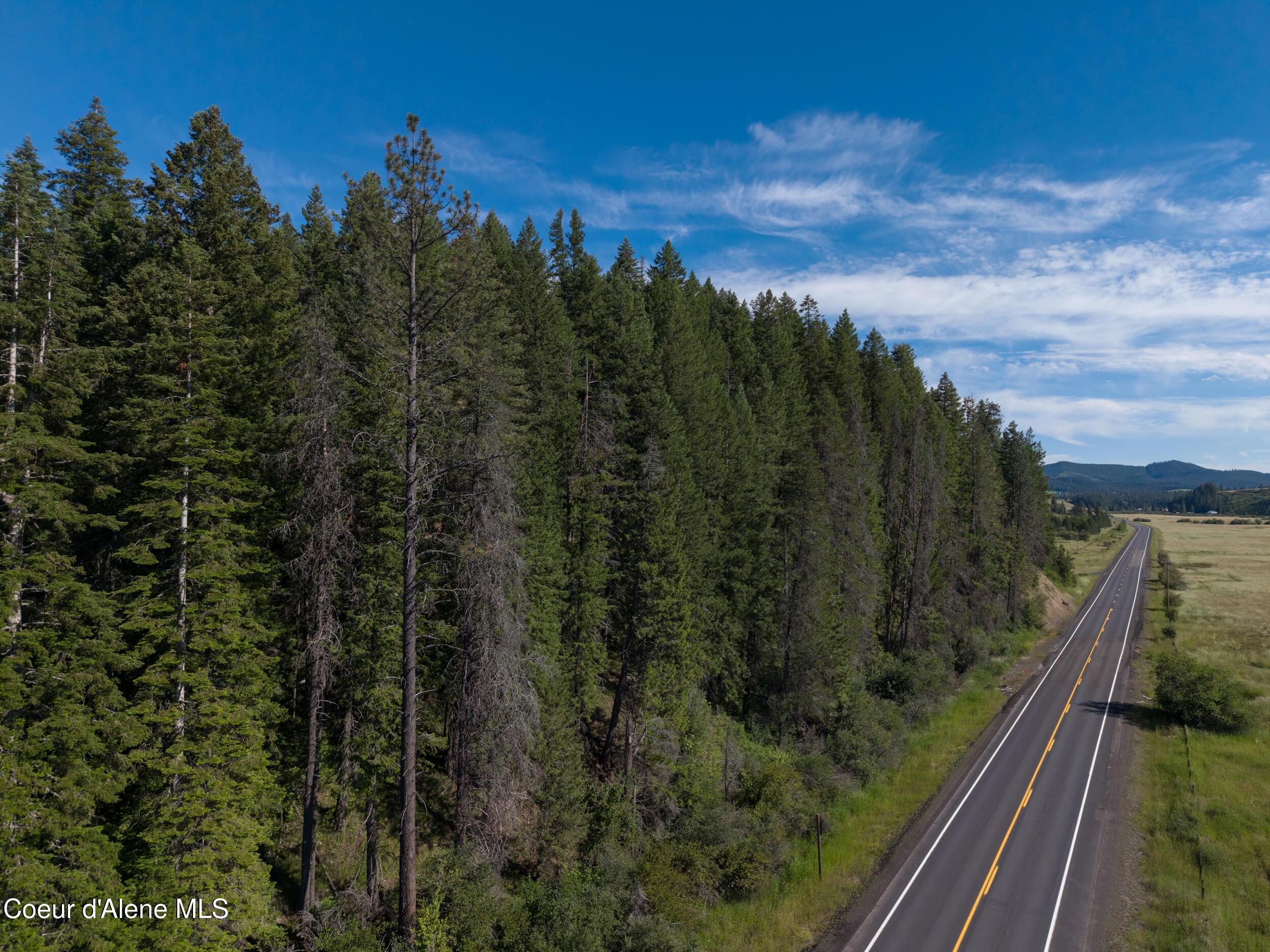 Image 4: Cow Creek Tweedy (28 of 29)
