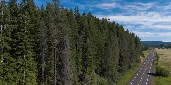 Image 4: Cow Creek Tweedy (28 of 29)