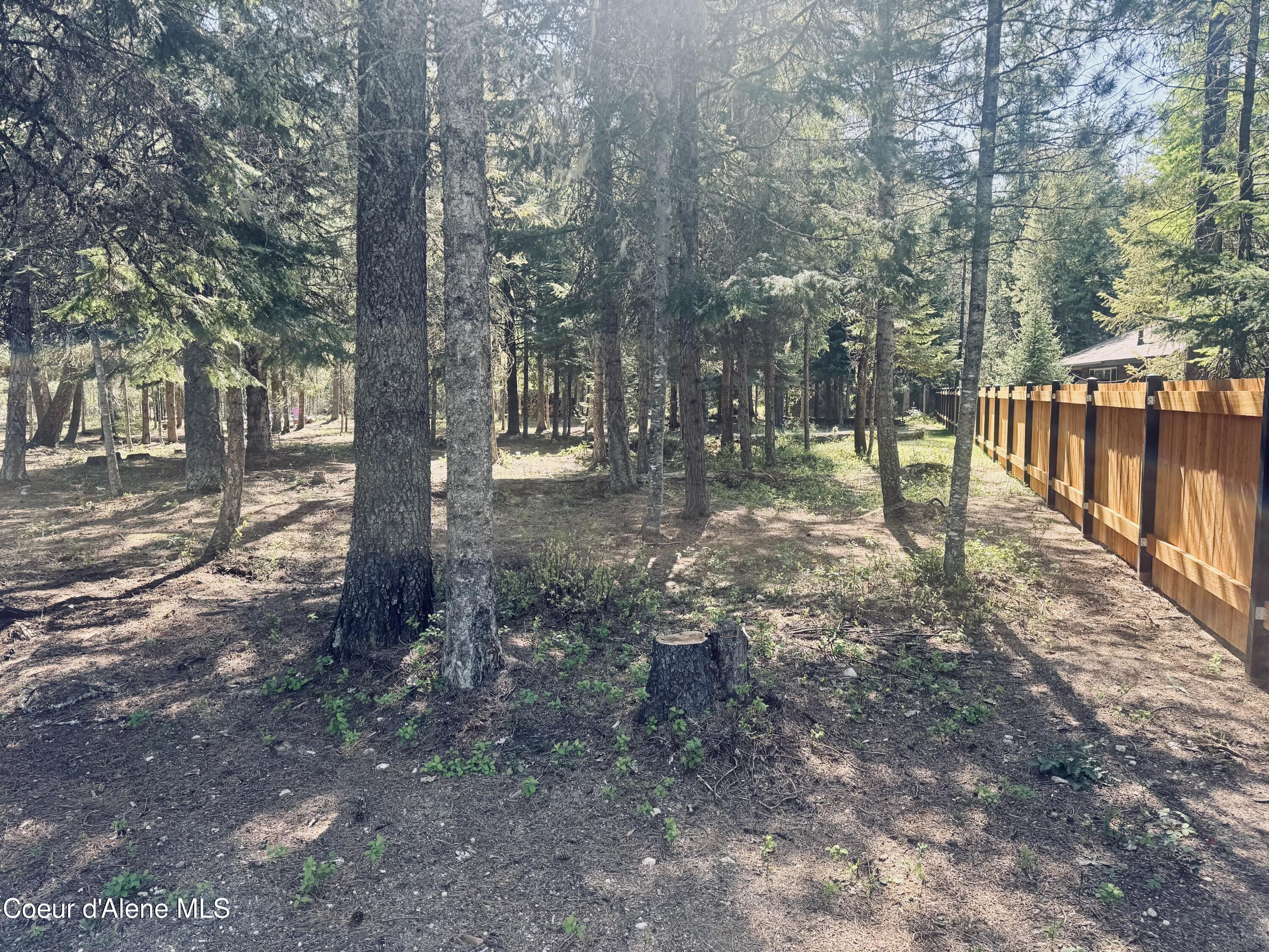 Image 2: Lot 13