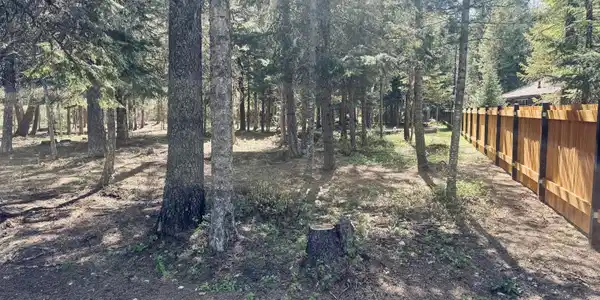 Image 2: Lot 13