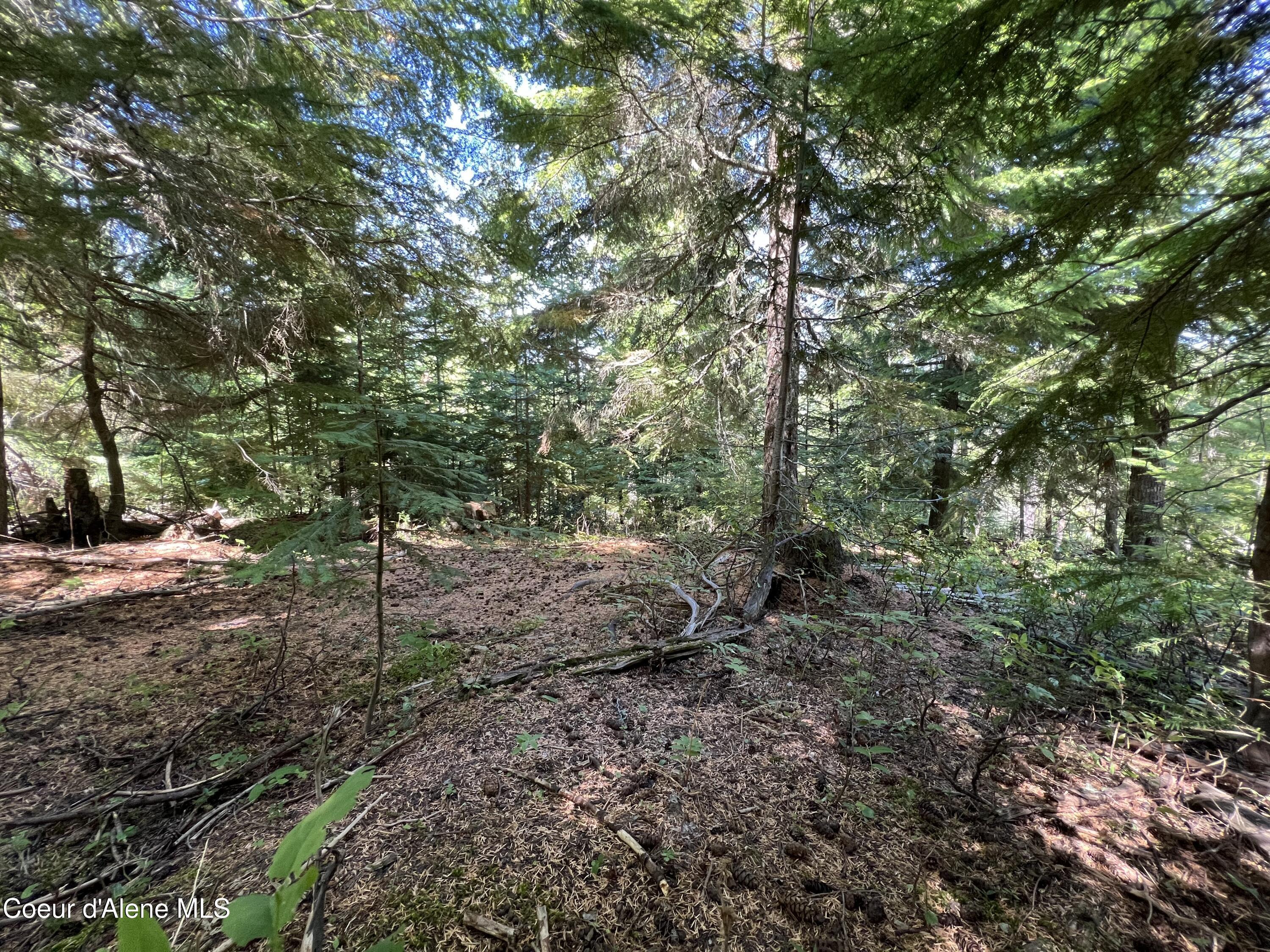 Image 1: Alpine Dr