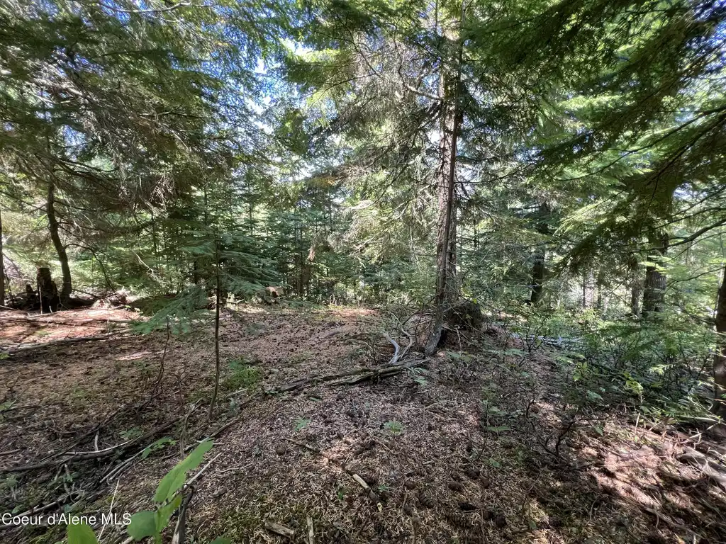 Image 1: Alpine Dr