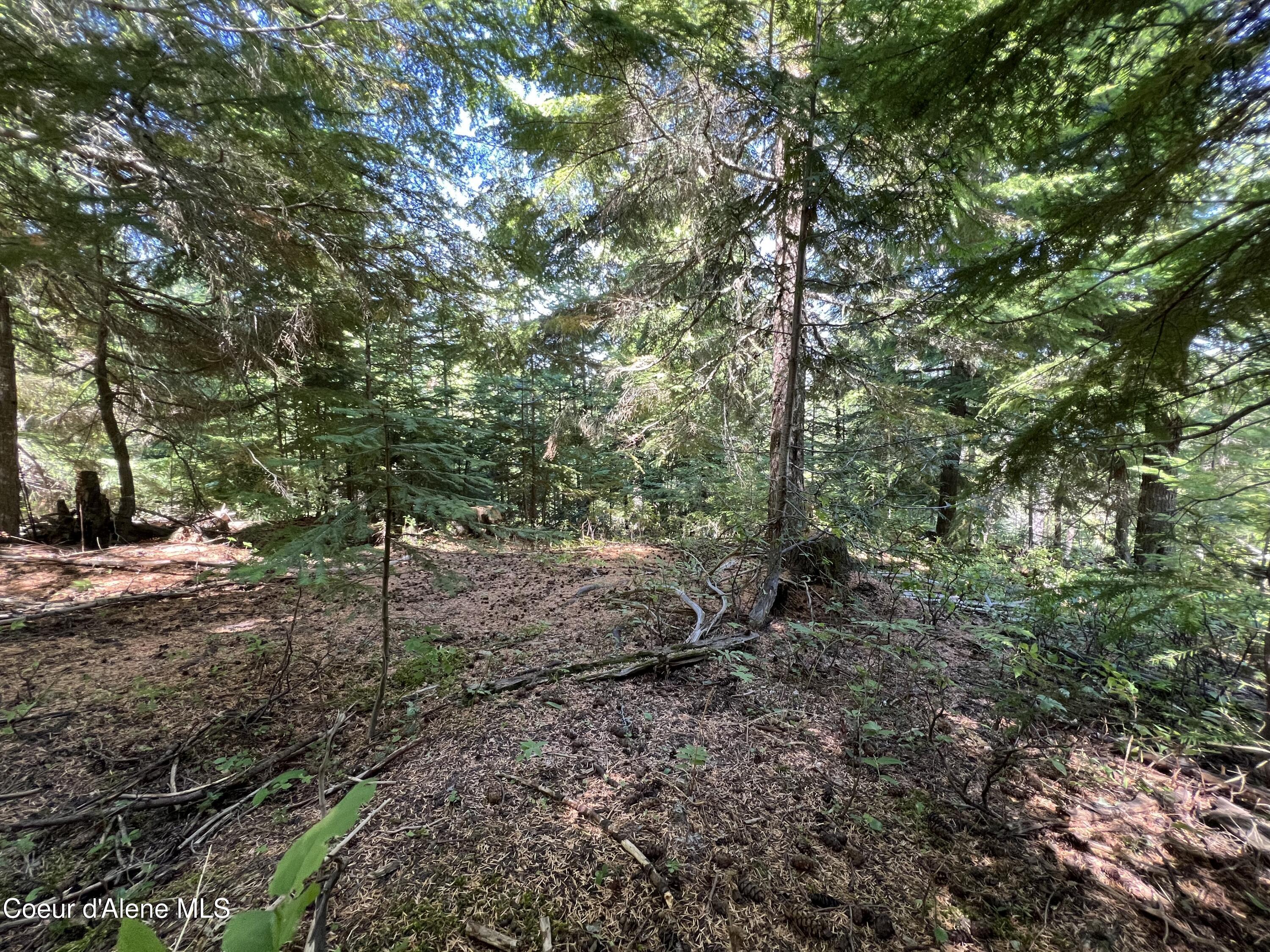Image 2: 1