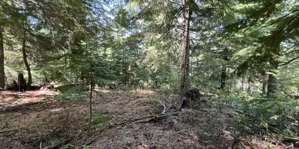 Image 2: 1
