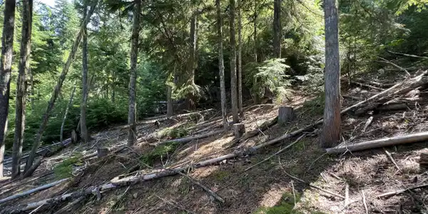 Image 3: 2