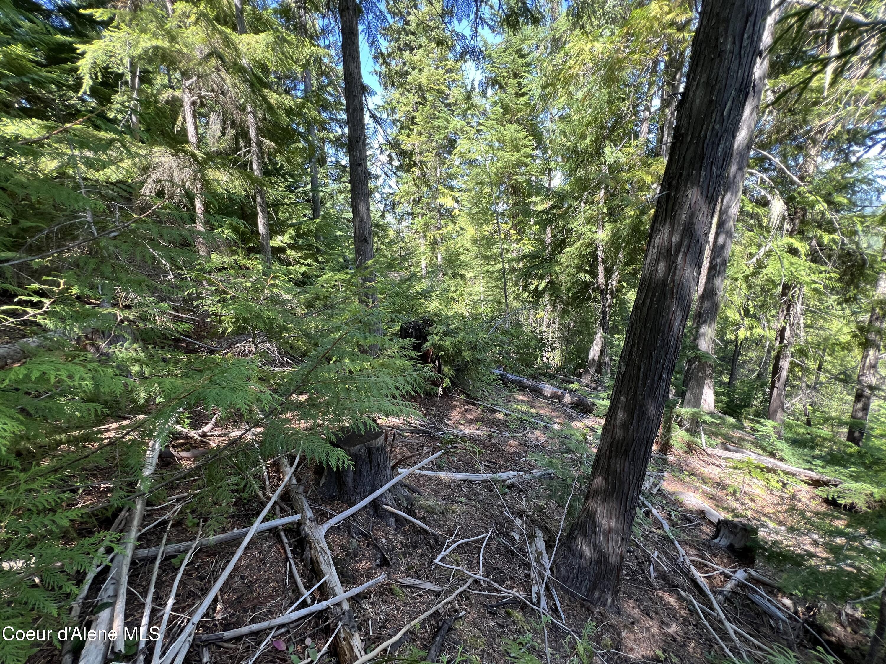 Image 4: 3