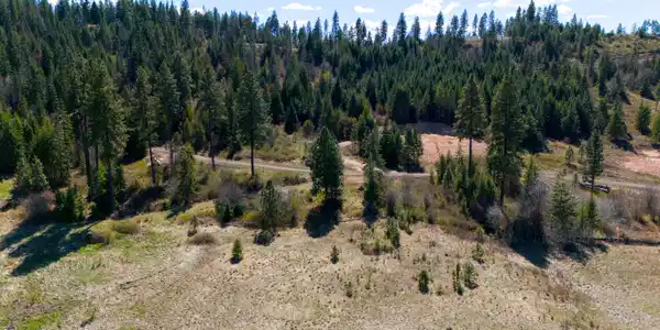 Lot 5 Lone Moose Dr
