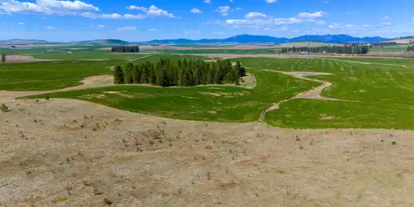 Image 2: lot 5 view