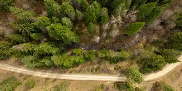 Image 2: Well cared for road to property
