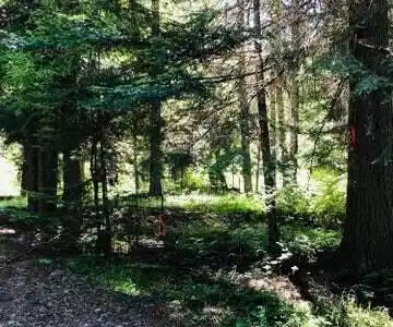 Image 2: Property view