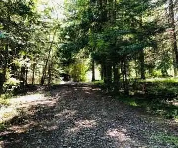 Image 4: Access road