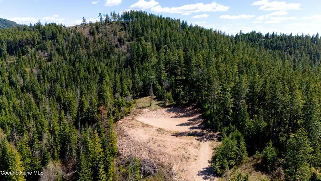 Image 1: lot 10