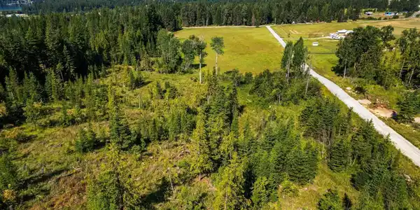 Image 3: Top of Lot 3