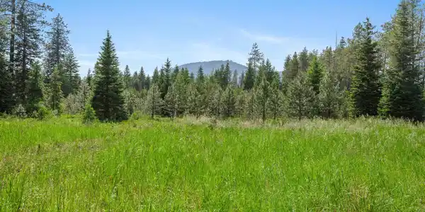Image 2: A2