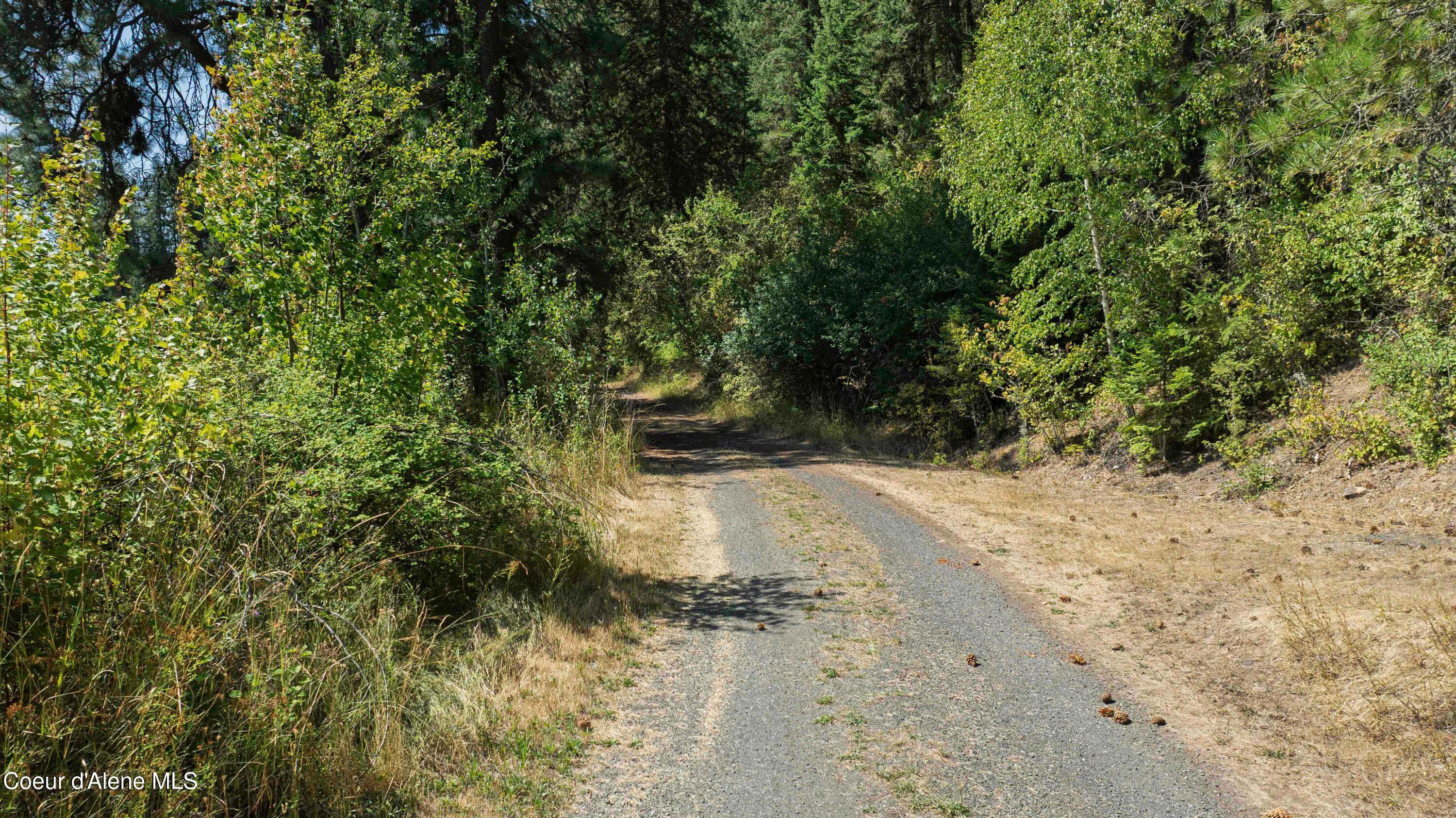 Image 4: Driveway
