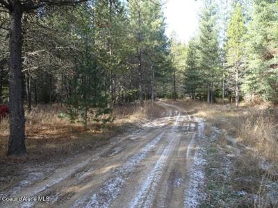 NNA Jasper Meadow (4951A) LN