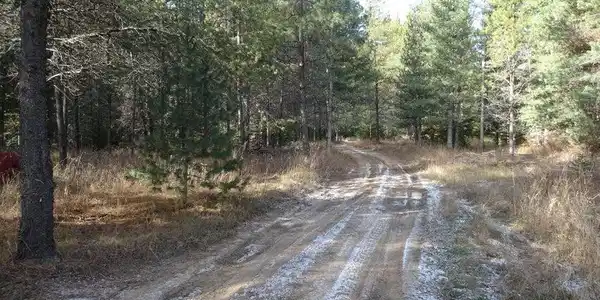 NNA Jasper Meadow (4951A) LN