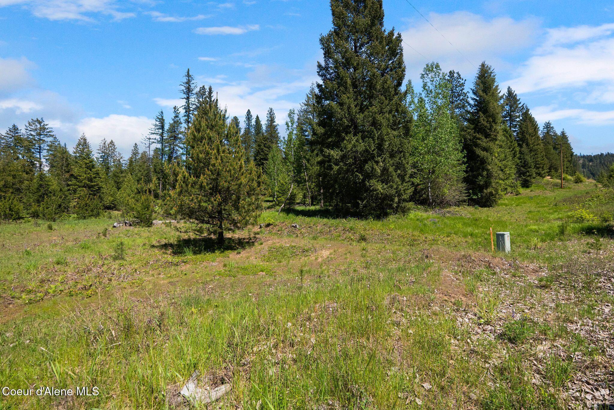 Image 4: 3_KFM08143