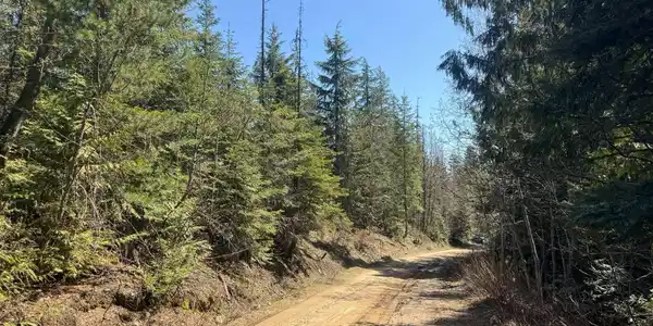 NNA Upper Manley Creek Rd 20 Acres