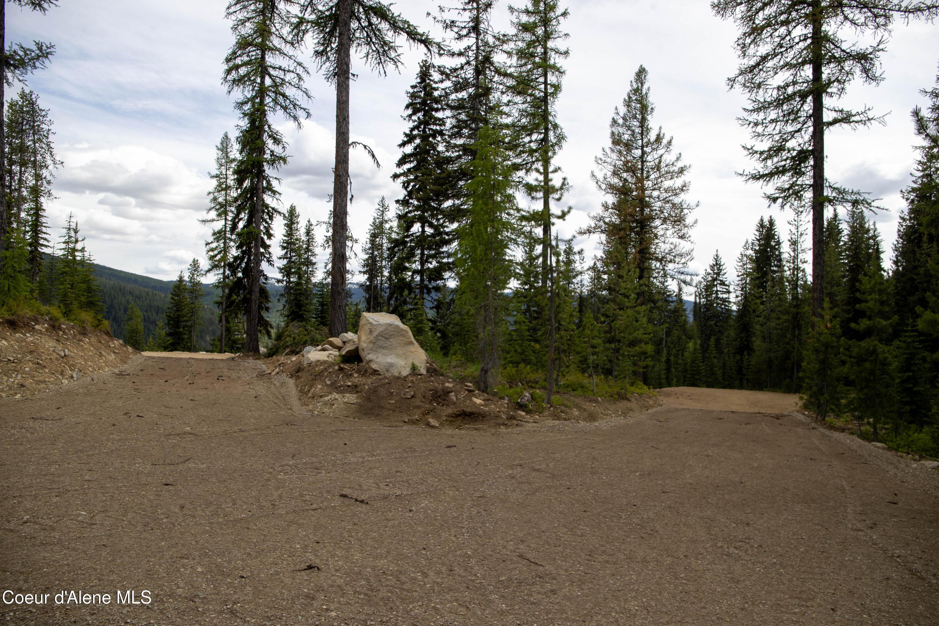 Image 3: IMG_1974