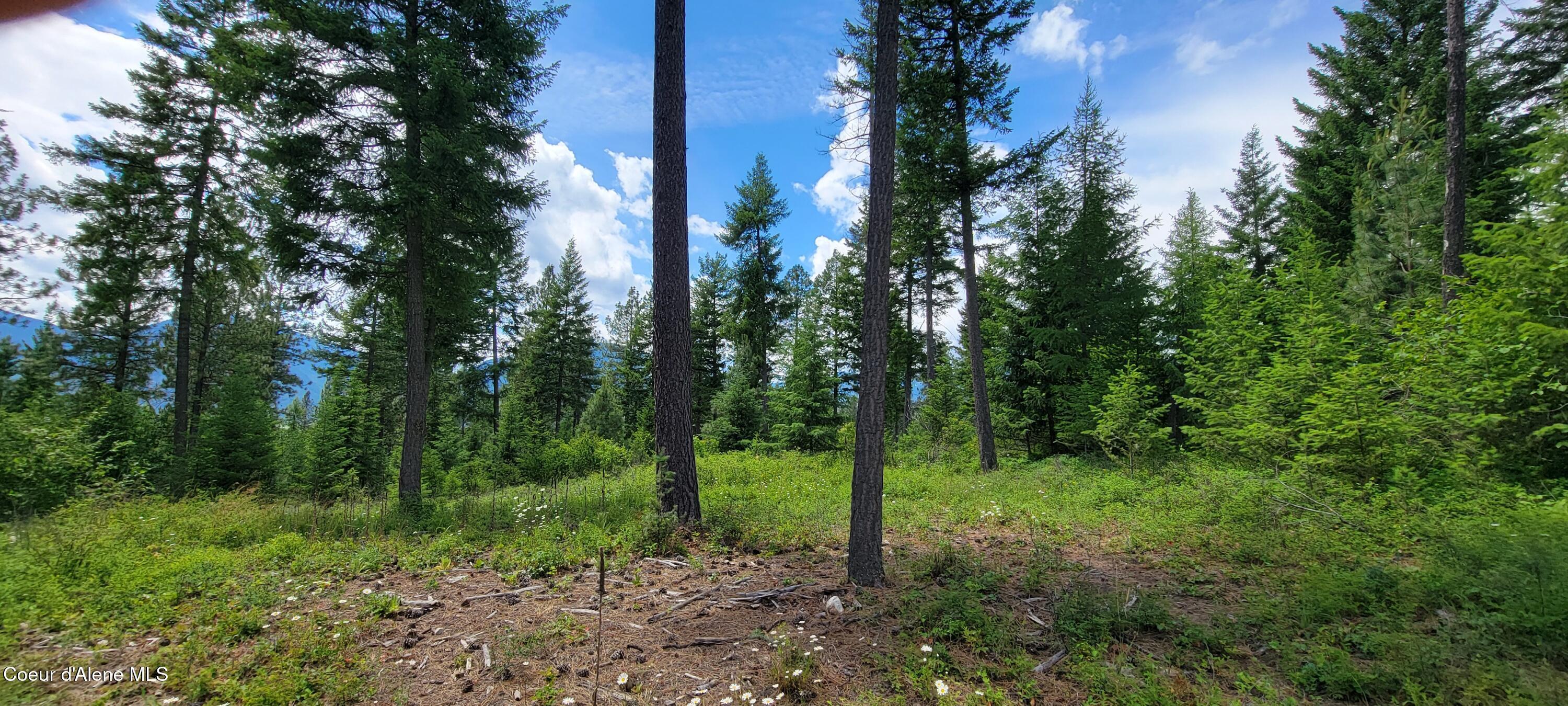 Image 4: 20240619_135129