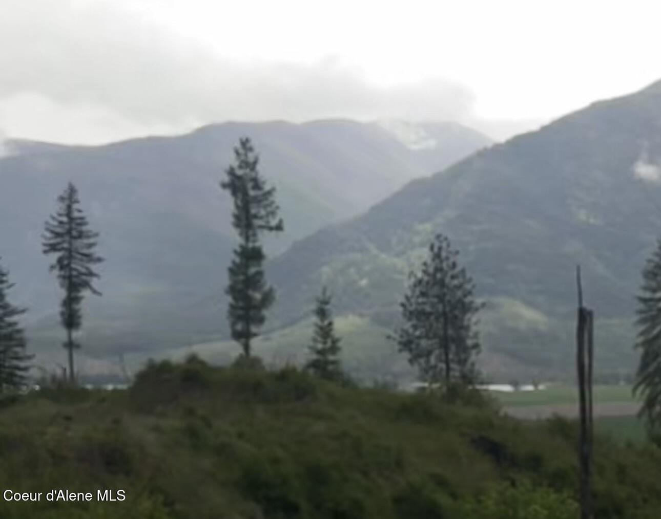 Image 3: 10e1f633-efbb-4a0c-8df8-134374d355e0
