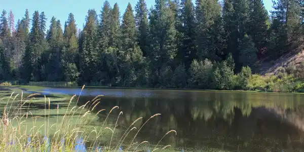 Image 4: 4