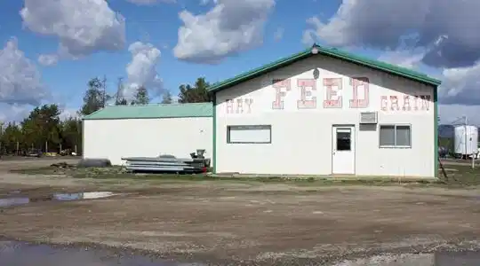 Image 3: Feed Store Building