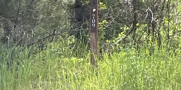 Image 4: 0