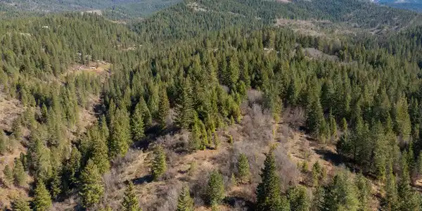 Image 4: DJI_0559-HDR-13