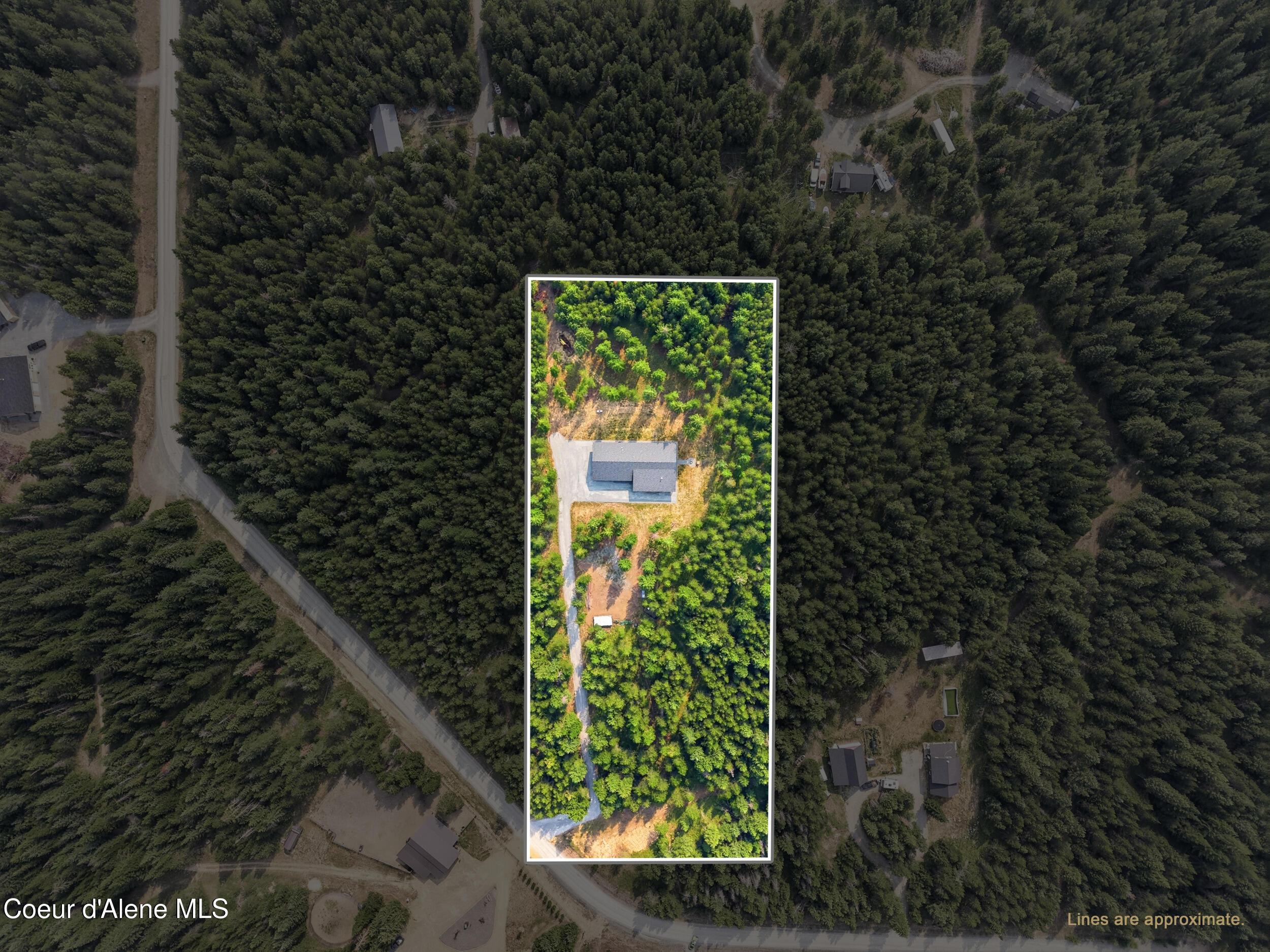 Image 3: 56_dji_20260720094628_0869_da