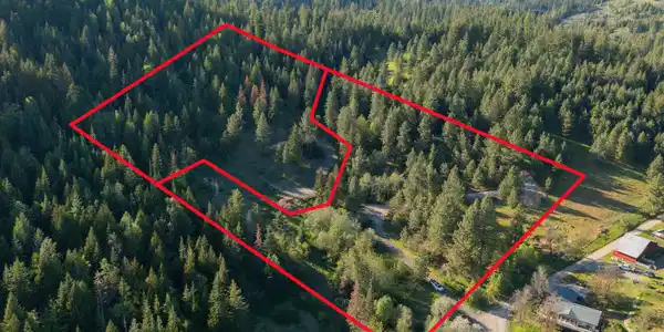 Image 2: outline map 100