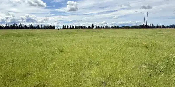 Image 2: 5 acres to personalize and call home.