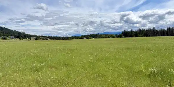 Image 4: Open, usable acreage.