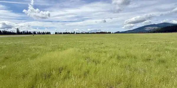 Image 2: Beautiful big sky across 5 acres.