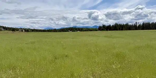 Image 4: Level, usable acreage.