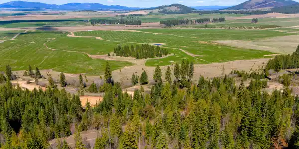 Image 3: lot 10 view