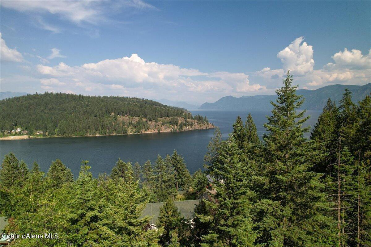 Image 2: 27-Lot