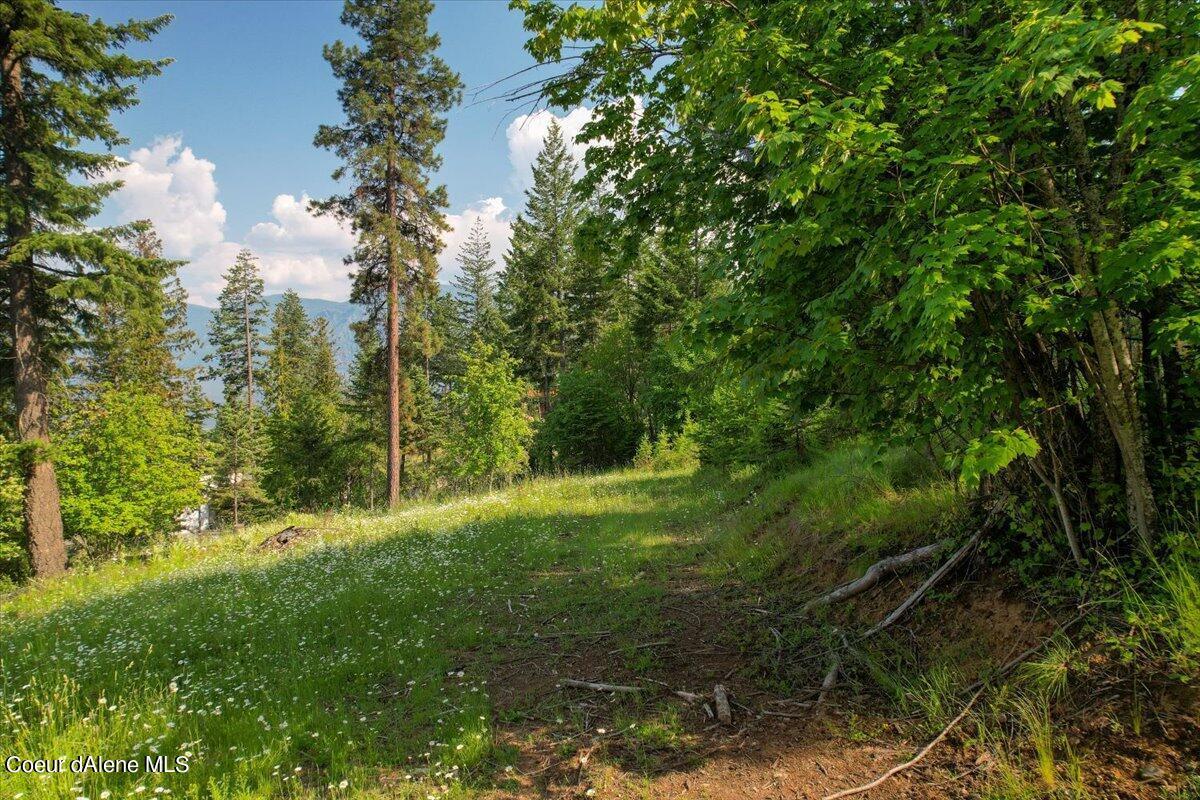 Image 3: 25-Lot