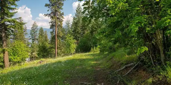 Image 3: 25-Lot