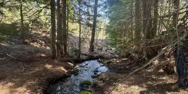 NNA Upper Manley CReek Rd East Lot