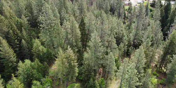 Image 2: 20260510_102152_19_1778433955816